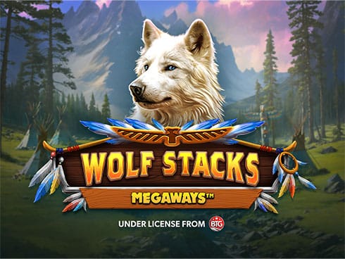 وولف اسٹیکس میگاویز game thumbnail